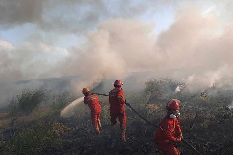 Asap Karhutla Mulai Selimuti Palembang, BPBD Sumsel Ajukan Masker dan Tambah Helikopter Water Bombing