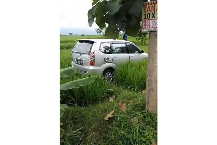 Tangkapan layar dari sebuah video yang memperlihatkan mobil minibus terjun ke sawah namun tidak merusak padi di sekitarnya.