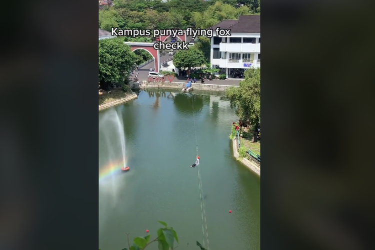 Viral flying fox di UMM