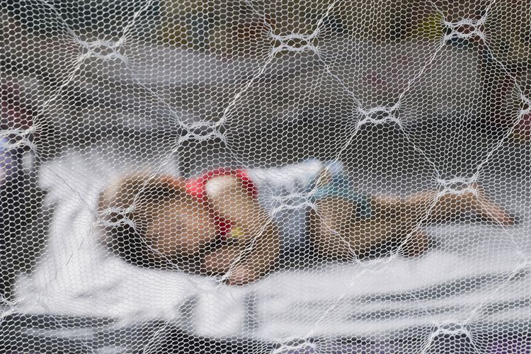 Ilustrasi demam berdarah, gejala DBD pada anak, gejala demam berdarah pada anak