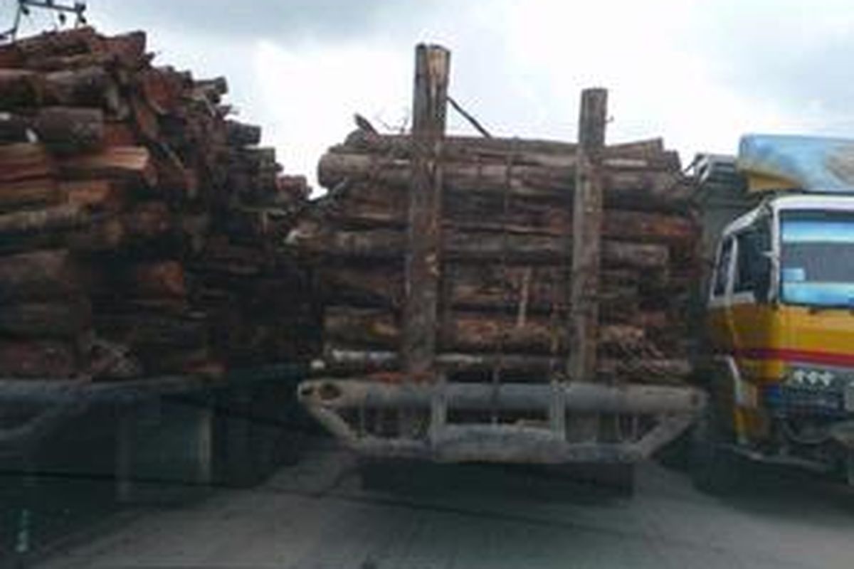 Ilustrasi: Truk pengangkut kayu di jalan lintas Sumatera.