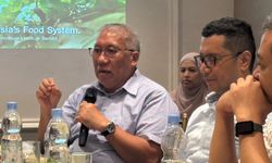 Nilai Bisnis Sayuran RI Diperkirakan Capai Rp120 Triliun, Sistem Pangan Jadi Tantangan Utama