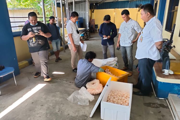 Ribuan butir telur penyu diamankan di Mako Polairud Polda Bangka Belitung, Rabu (8/6/2022).