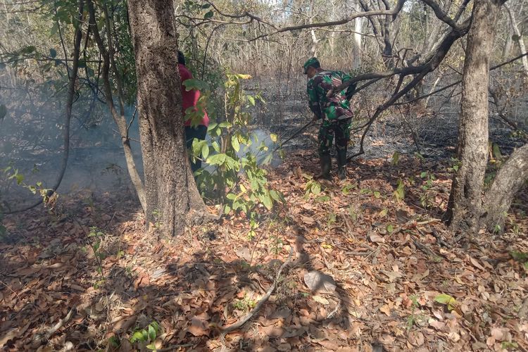 2.207 Hektare Terdampak Karhutla, Fauna di Taman Nasional Baluran Situbondo Dinyatakan Aman