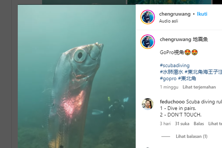 Tangkapan layar Instagram @chengruwang yang menampilkan video kemunculan ikan oarfish.