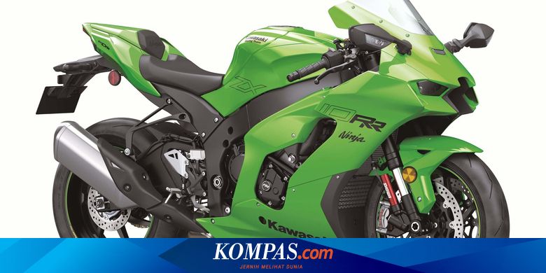 Ninja kawasaki shop zx10rr