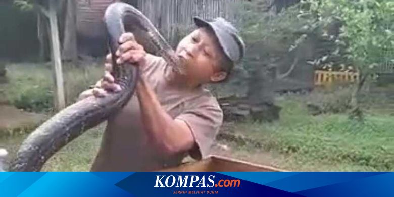Priest dies after being bitten by pet king cobra, friend: says he gave