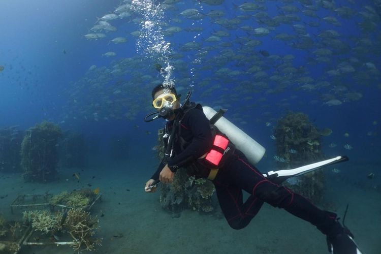 Panorama bawah laut Bangsring Underwater Banyuwangi