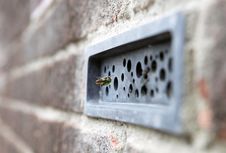 Perusahaan Inggris Ini Ciptakan Batu Bata yang Bisa Jadi Sarang Lebah