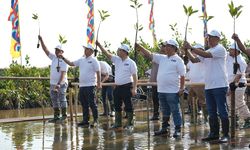 Perkuat Sabuk Hijau Hadapi Krisis Iklim, Pemprov DKI Jakarta Tanam 10.000 Mangrove di 4 Pesisir