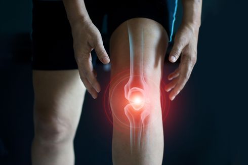 7 Jenis Tanaman Herbal untuk Mengatasi Osteoarthritis