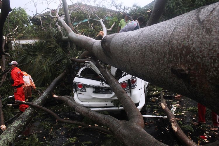 Sebuah kendaraaan yang terparkir di halaman Pendopo Bupati Cianjur rusak parah akibat tertimpa pohon besar yang tumbang saat terjadi hujan deras disertai angin kencang di kawasan perkotaan di Kabupaten Cianjur, Jawa Barat, Kamis (17/10/2019) petang.