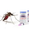 Mengenal Imunisasi Dengue untuk Mencegah Demam Berdarah (DBD)