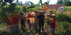 Begini Upaya Kementan Jaga Stabilitas Harga Jagung