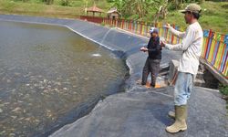 Dua Program Kementan Jawab Tantangan Kemarau