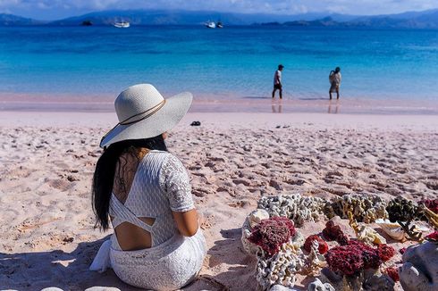 Dugaan Kasus Penipuan Agen Travel di Labuan Bajo, BPOLBF Tindak Lanjuti