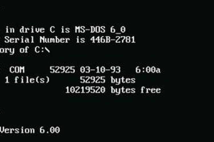 Tampilan MS-DOS.