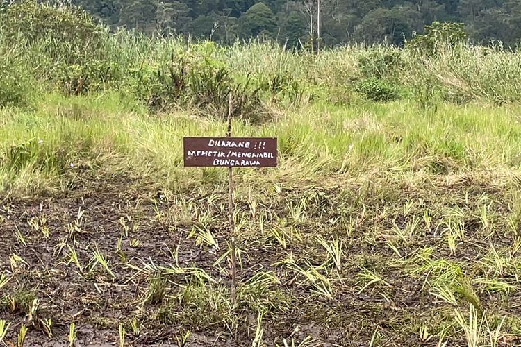 Obyek Wisata Kampung Cai Ranca Upas, Kecamatan Rancabali, Kabupaten Bandung, Jawa Barat akhirnya ditutup sementara sampai waktu yang belum ditentukan.