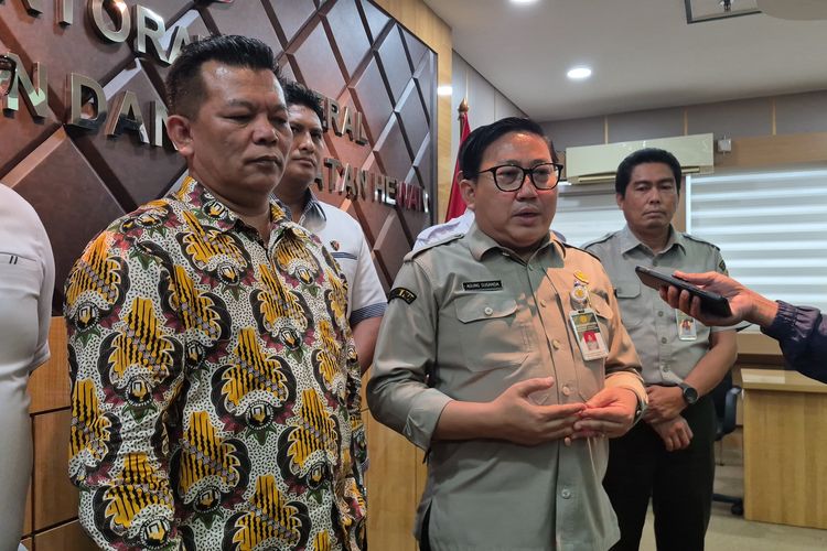 Harga Telur Masih Lesu, Kementan Andalkan MBG untuk Dongkrak Permintaan