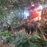 Penemuan Tengkorak Mirip Manusia Gegerkan Warga Karanganyar, Tenyata Kerangka Ini