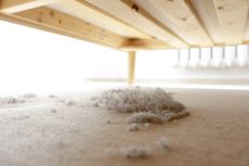 Catat, 9 Cara Mencegah Penumpukan Debu di Rumah