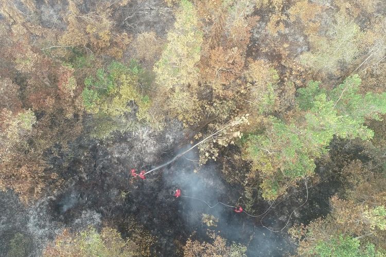 Sepekan Lebih, Karhutla di Muba Sumsel Belum Kunjung Padam