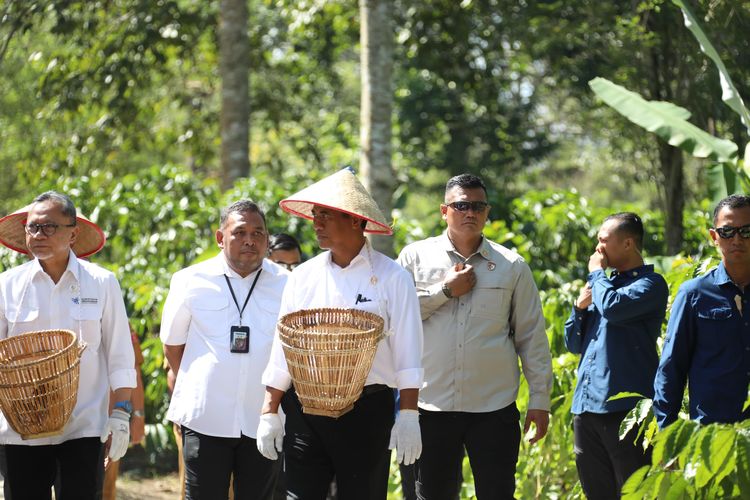 Menteri Pertanian (Mentan) Andi Amran Sulaiman meninjau perkebunan kopi di Desa Kambahang, Kecamatan Batu Brak, Kabupaten Lampung Barat, Provinsi Lampung, Jumat (12/7/2024).