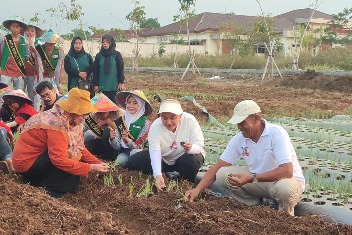 Wali Kota Semarang Hevearita Gunaryanti Rahayu melakukan penanaman komoditas bawang merah unggulan jenis Lokananta di lahan Balai Benih Pertanian (BBP), Kecamatan Mijen, Kamis (12/9/2024).