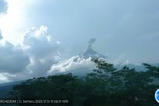 Gunung Semeru Erupsi Lagi, Keluarkan Kolom Abu Setinggi 1.500 Meter