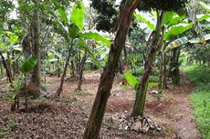 Saksi: Tanah di Pondok Ranggon Belum Dilunasi, tapi Dijual ke Perumda Sarana Jaya
