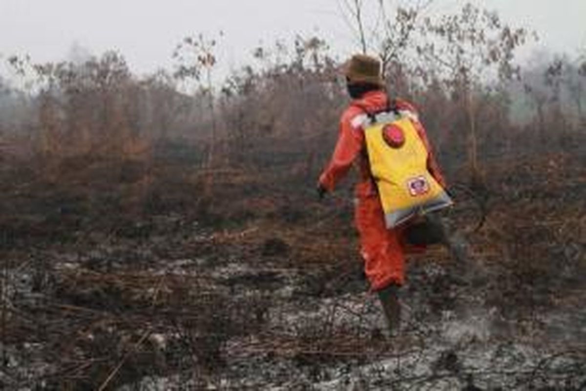 Ilustrasi: pemadaman kebakaran hutan.