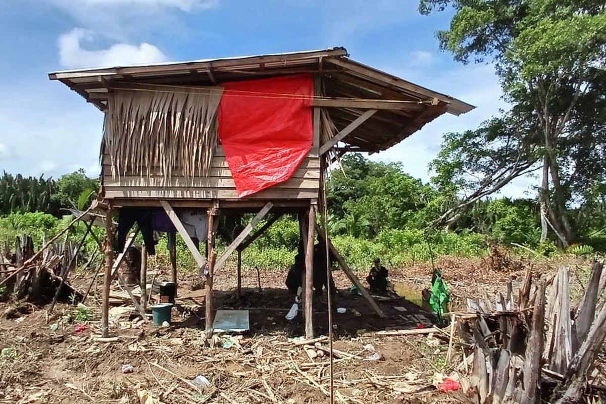Lokasi perambahan 4 hektare lahan di Kawasan Taman Nasional Berbak Sembilang (TNBS).