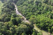 Warga dan Hutan Konservasi, Menjaga Ruang Hidup di Solok Selatan