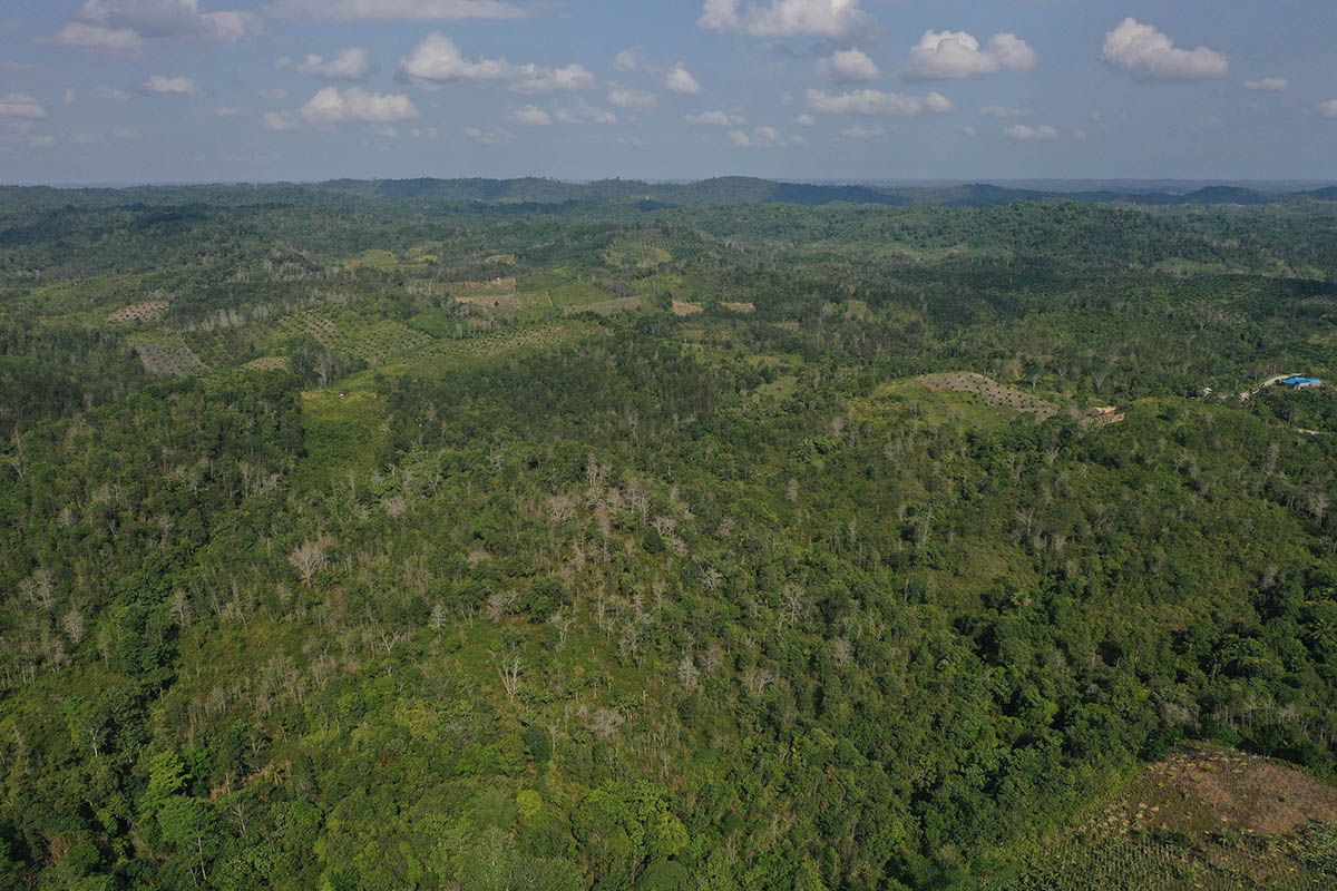 Foto aerial kawasan Kecamatan Sepaku, Penajam Paser Utara, Kalimantan Timur, Rabu (28/8/2019). Sepaku dan Samboja, Kutai Kartanegara akan menjadi lokasi ibu kota negara baru Indonesia.