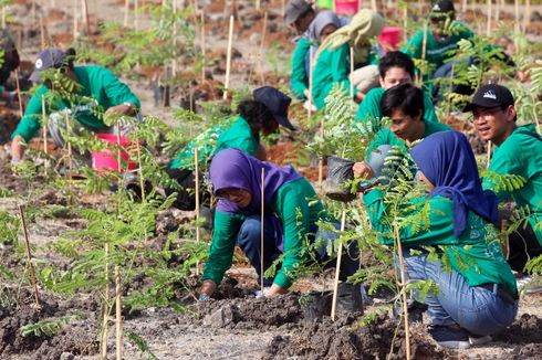 250 Mahasiswa Serentak Tanam Pohon di Situs Ratu Boko