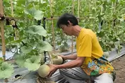 Aturan Offset Emisi Pertanian Hampir Terbit, Pembagian Manfaat untuk Petani Tunggu Juknis