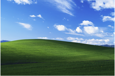 Kisah di Balik "Wallpaper" Windows XP, Jadi Foto Paling Banyak Dilihat di Dunia