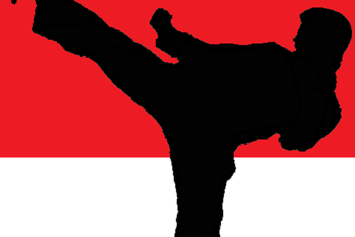 Ilustrasi gambar karate