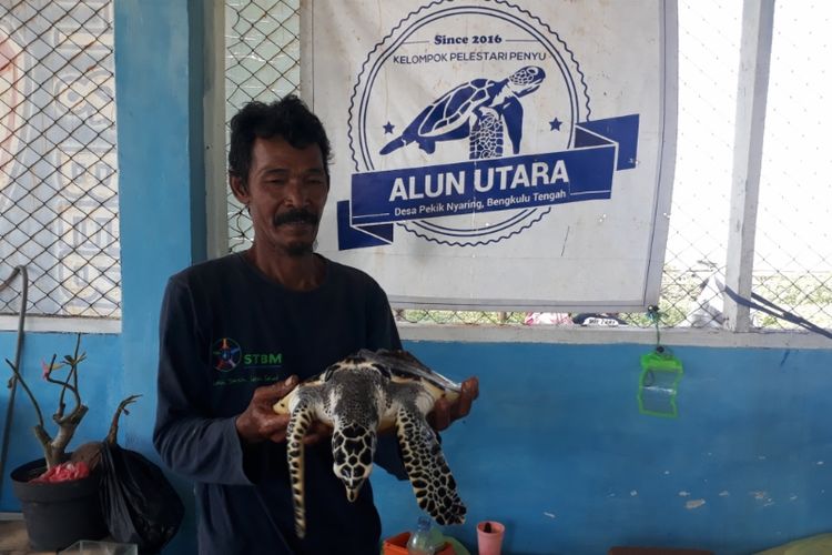 Zulkarnedi pelestari penyu di Desa Pekik Nyaring, Bengkulu. 