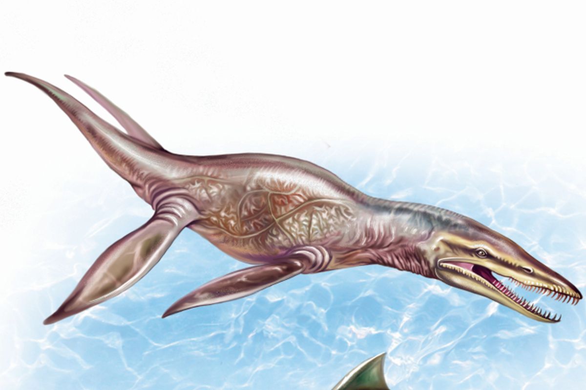 Ilustrasi pliosaurus, dinosaurus reptil yang merupakan predator laut di zaman Jurassic. Reptil ini memiliki gigitan yang lebih kuat dari Tyrannosaurus rex (T.rex). Sisa fosil ditemukan di gurun terkering di dunia, Gurun Atacama, Chili.