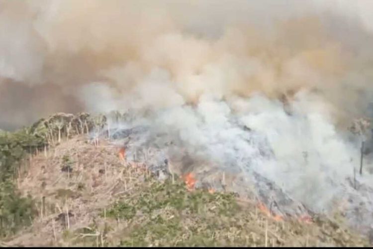 Inilah penampakan besarnya kebakaran hutan di Kelurahan Rokan, Kecamatan Rokan IV Koto, Kabupaten Rokan Hulu, Riau, Jumat (18/7/2025).