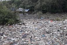 Sampah Kotori Hutan Mangrove Dekat Rusun Marunda