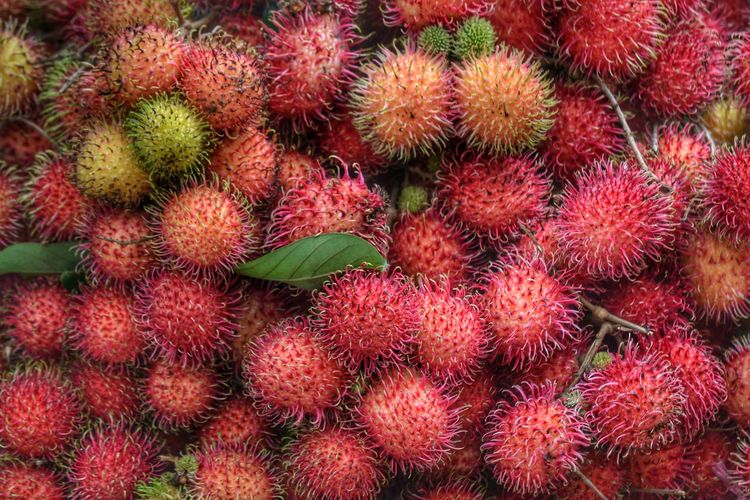 Illustration of Rambutan Fruit. Rambutan fruit sugar per 100 grams is around 15.7 grams with a carbohydrate content of 18.5 grams. However, this fruit is not easy to cause a surge in blood sugar.