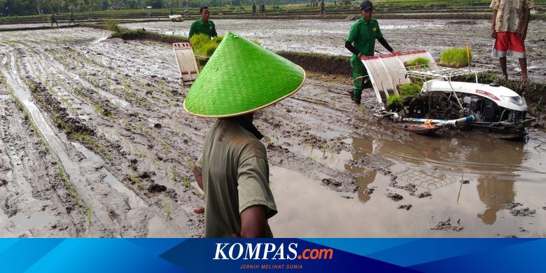 Modernisasi Pertanian Untuk Sejahterakan Petani Halaman All Kompas Com