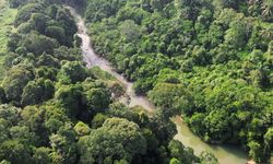 Warga dan Hutan Konservasi, Menjaga Ruang Hidup di Solok Selatan