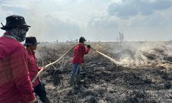 Restorasi Gambut Perlu Dilanjutkan untuk Cegah Karhutla di Lahan Gambut