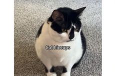 Kemlu: Belum Ada Info WNI Terdampak Penembakan di Pantai Bondi Australia