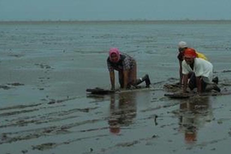 Permainan skilot, berselancar di atas lumpur khas Desa Tambak Lekok, Pasuruan, Jawa Timur.