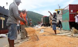 Pertanian Catatkan Hasil Positif Sepanjang April 2018