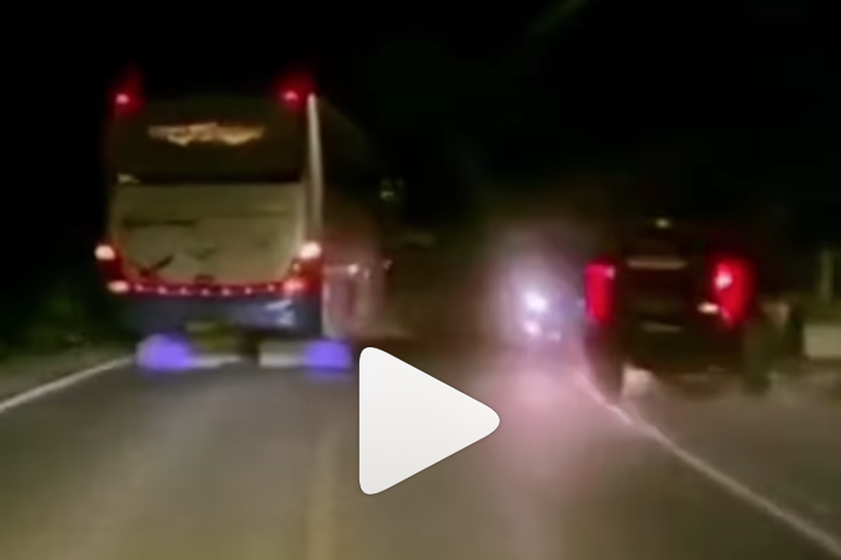 Video mobil nyaris adu banteng saat menyalip di tikungan